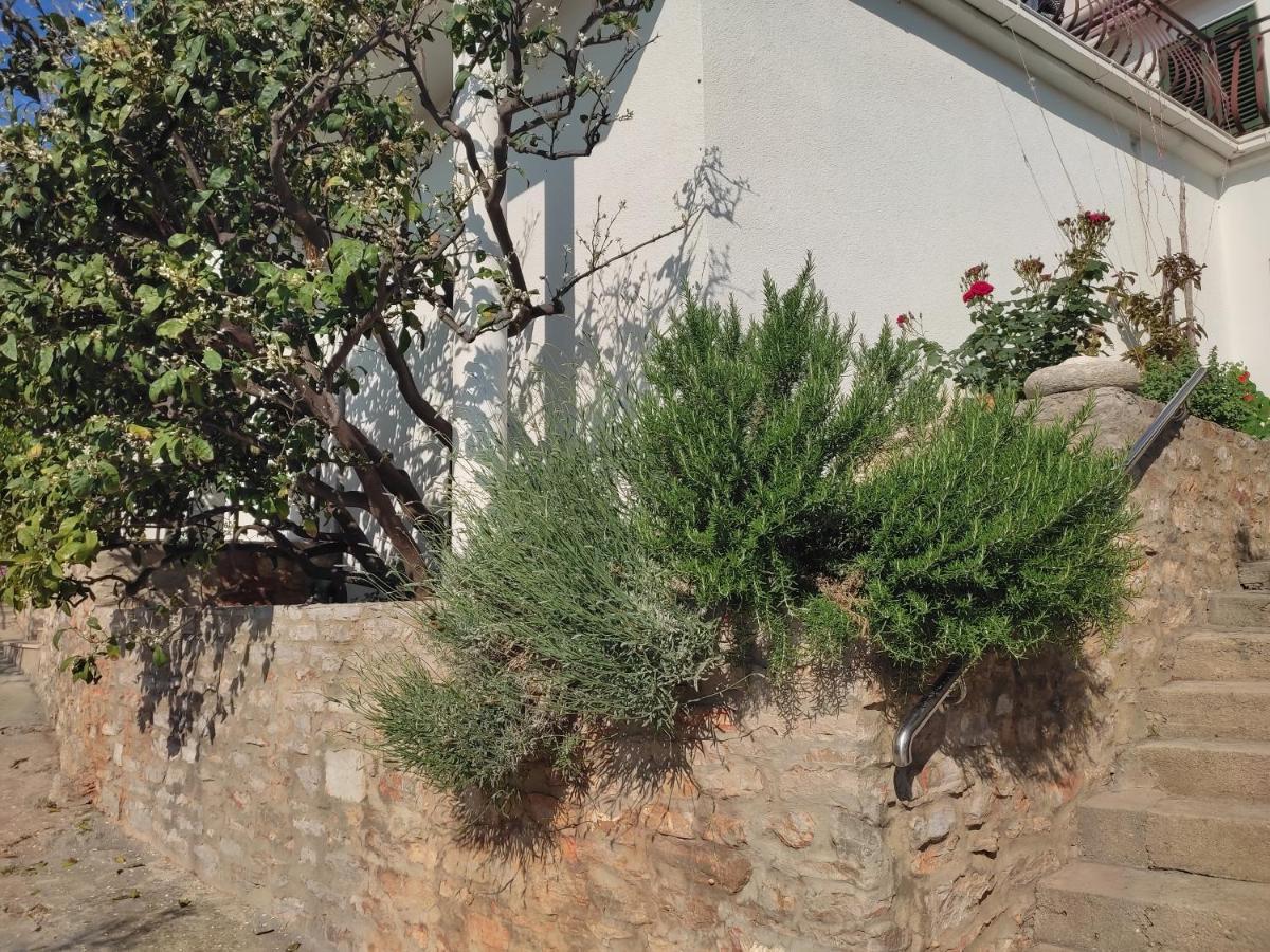 Guest House Nikola Božava Екстериор снимка