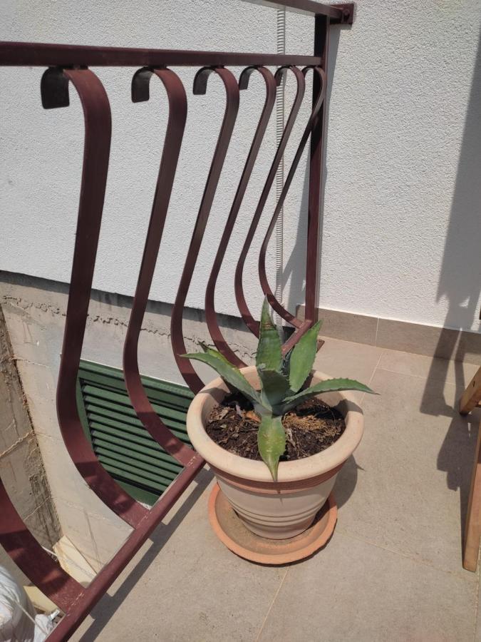 Guest House Nikola Božava Екстериор снимка