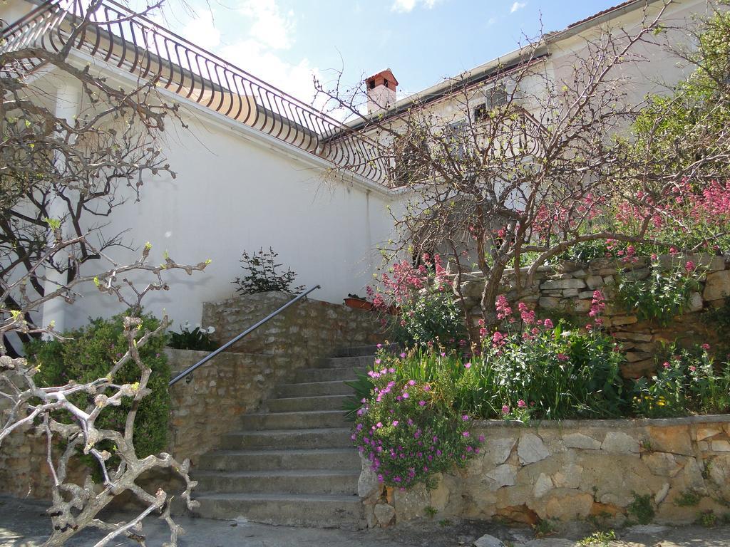 Guest House Nikola Božava Екстериор снимка