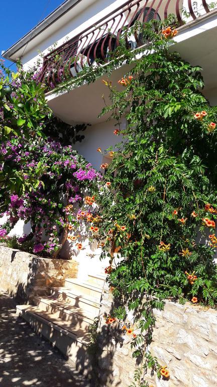 Guest House Nikola Božava Екстериор снимка